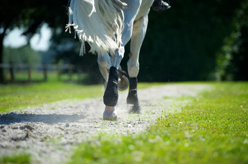 La tecnología infrarroja en los protectores para caballos provoca sobrecalentamiento? La ciencia dice que no