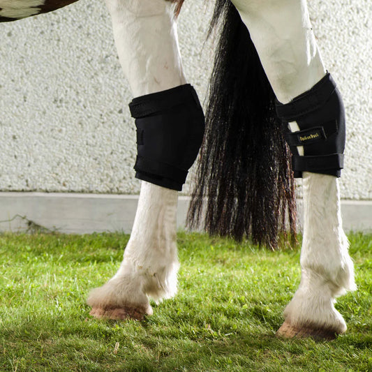 Protector corvejon Back on Track®