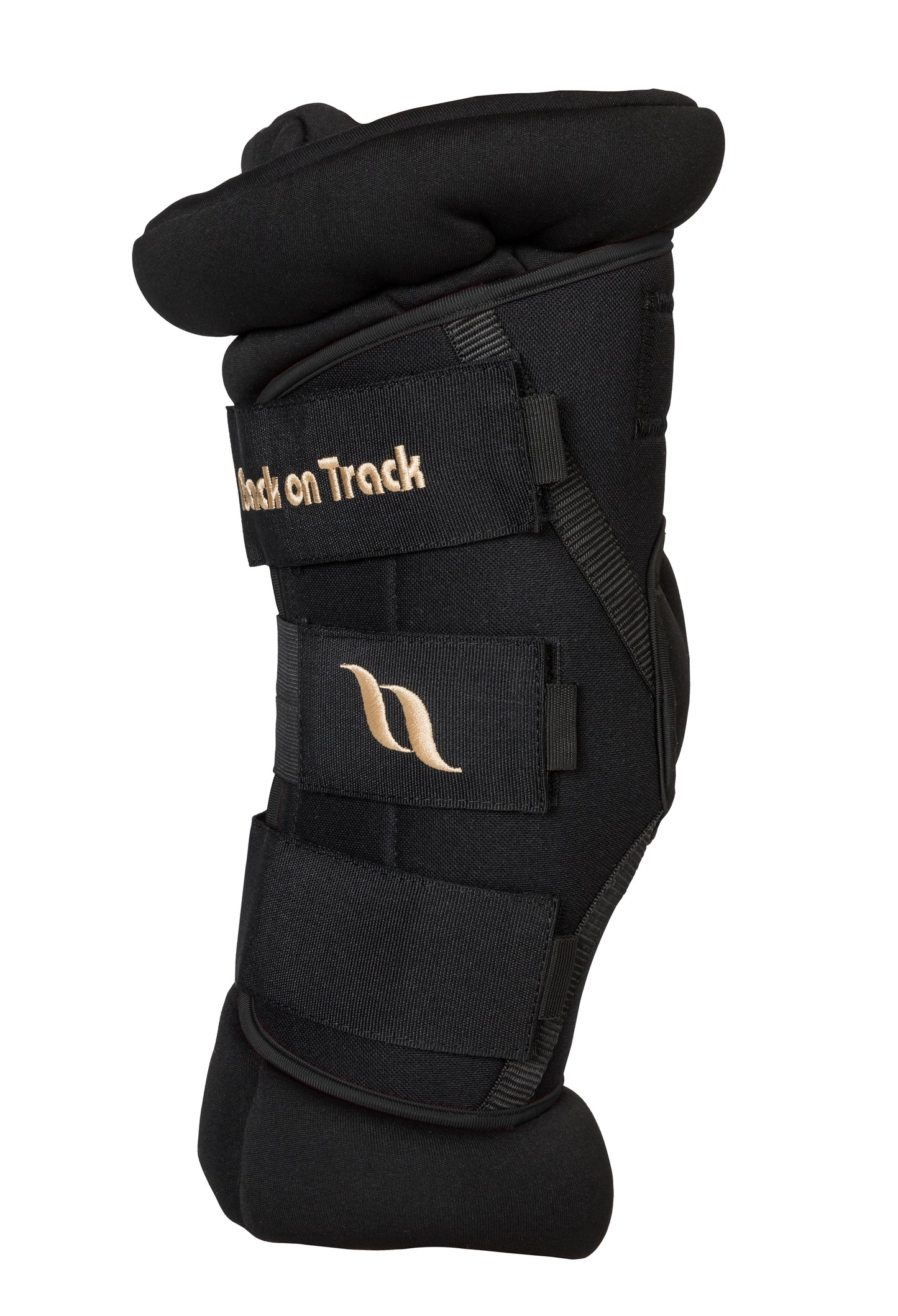 Royal DeLuxe Back on Track hock protector