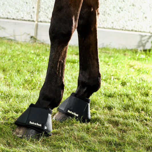 Campanas Back on Track® con Welltex®