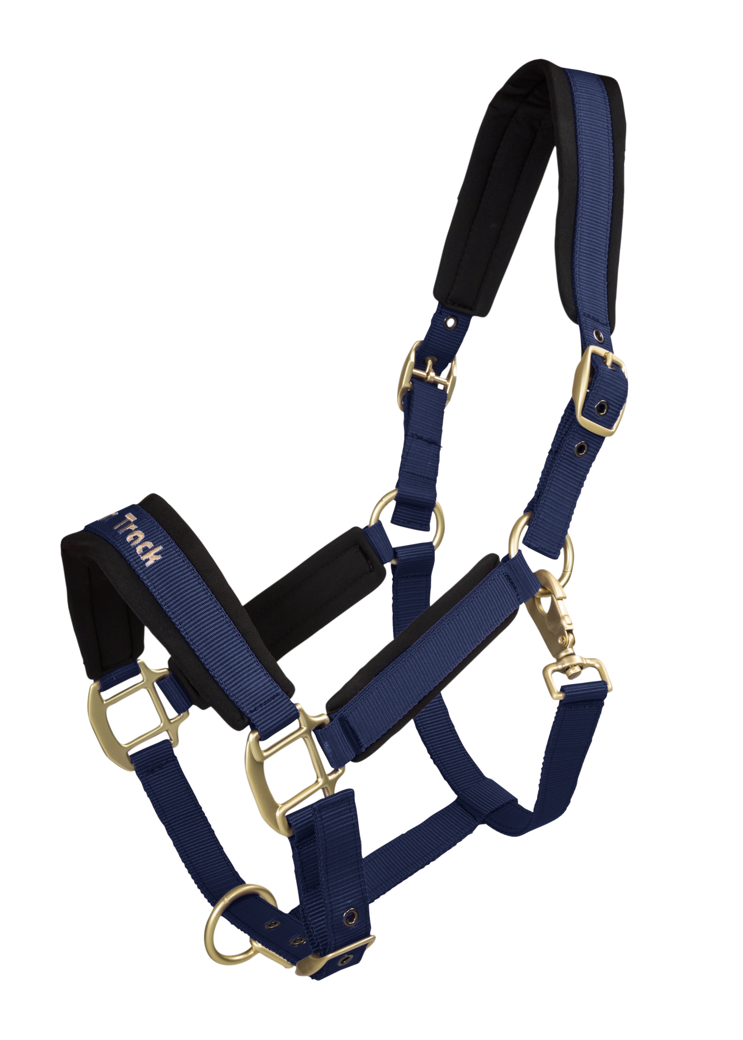 Werano Back on Track Headstall