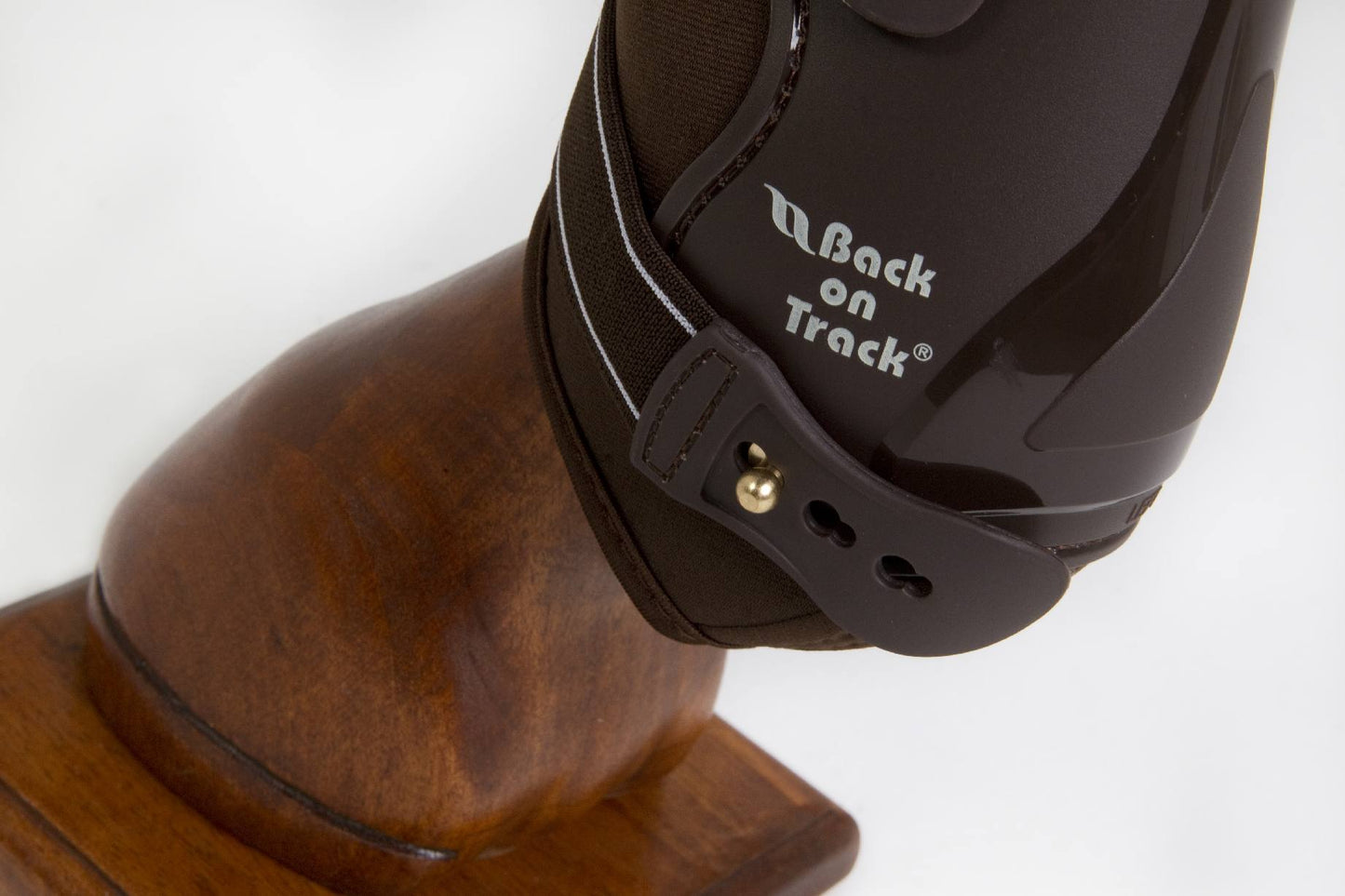 Royal Protector Front Work Back on Track