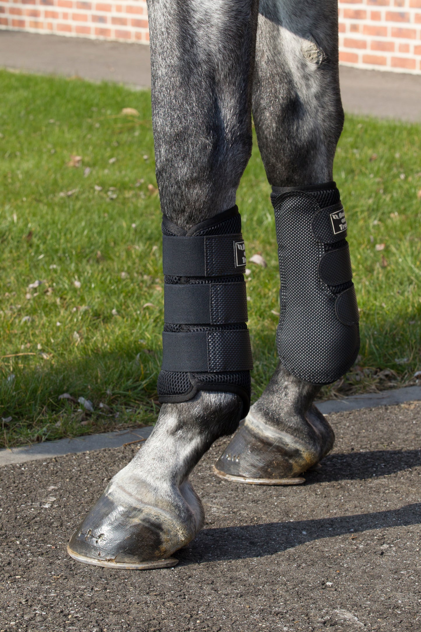 3D Mesh Back on Track Protectors