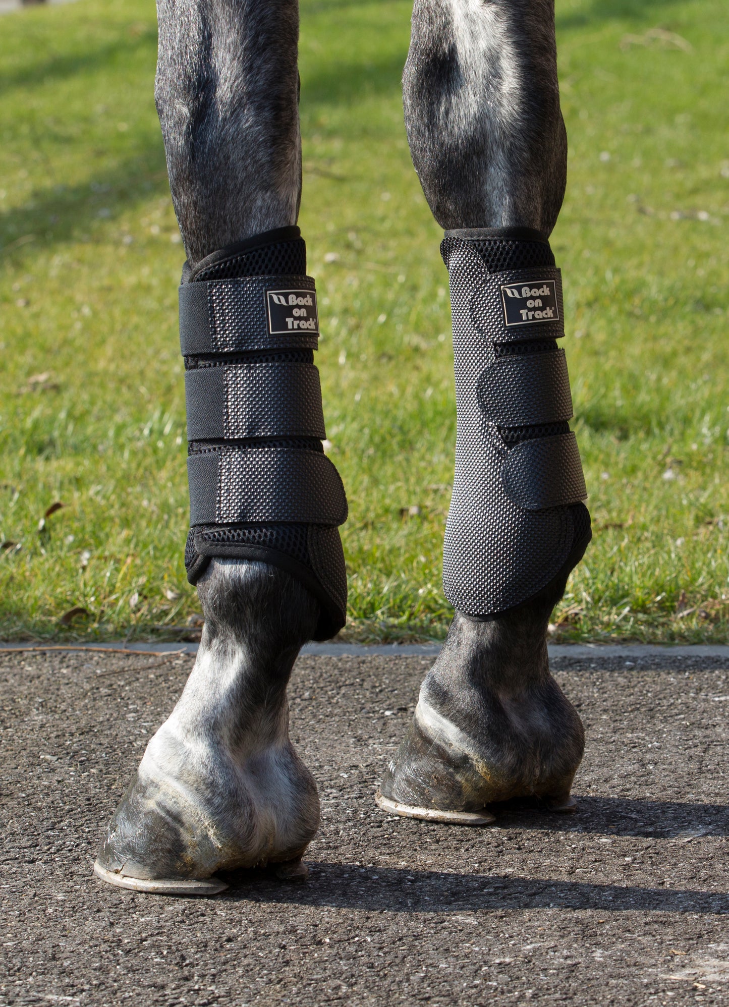 3D Mesh Back on Track Protectors