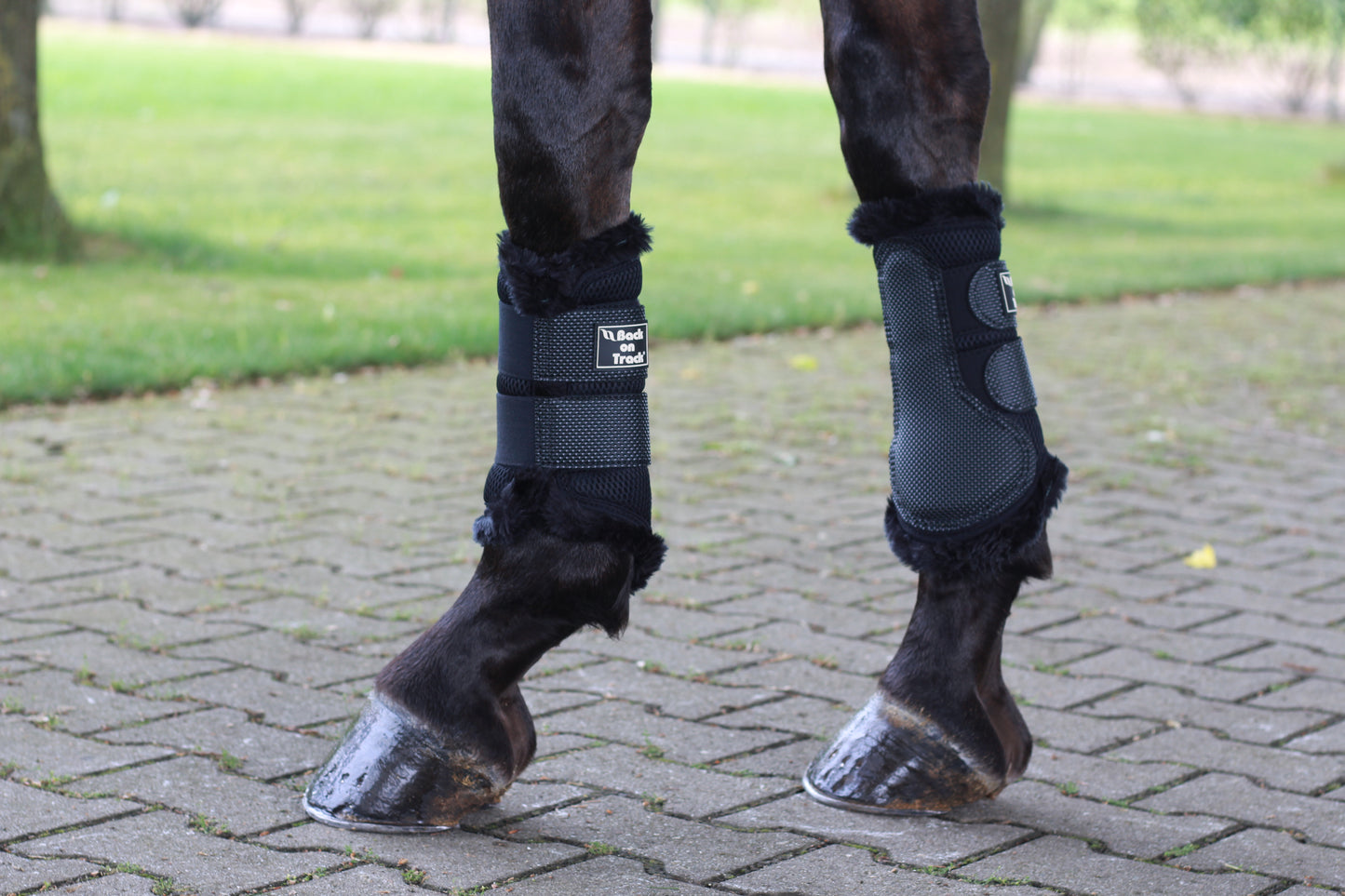 Back on Track 3D Mesh tendon protectors with sheepskin