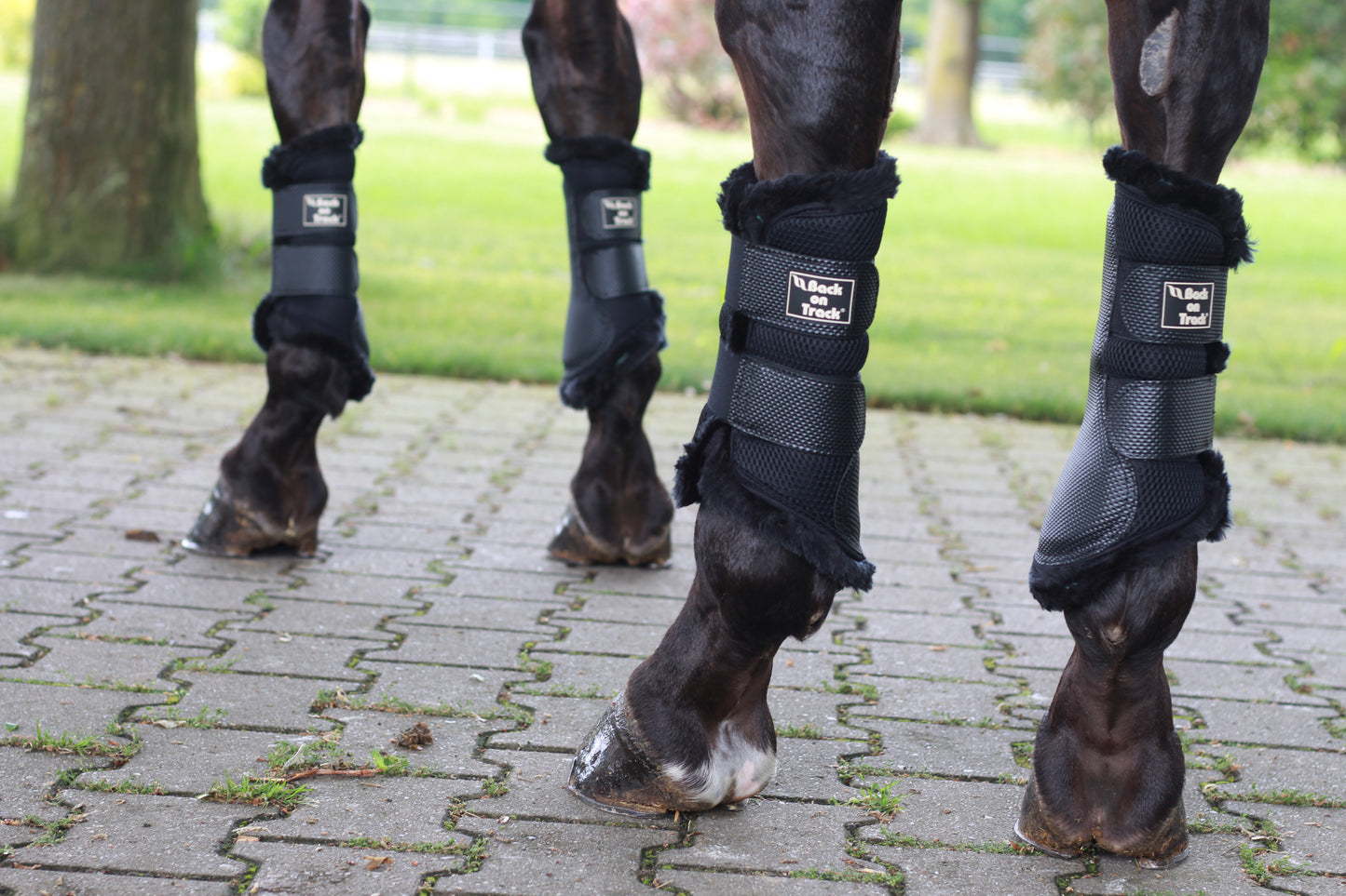 Back on Track 3D Mesh tendon protectors with sheepskin