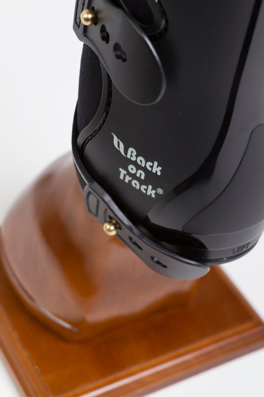 Royal Work protectores trasera Back on Track