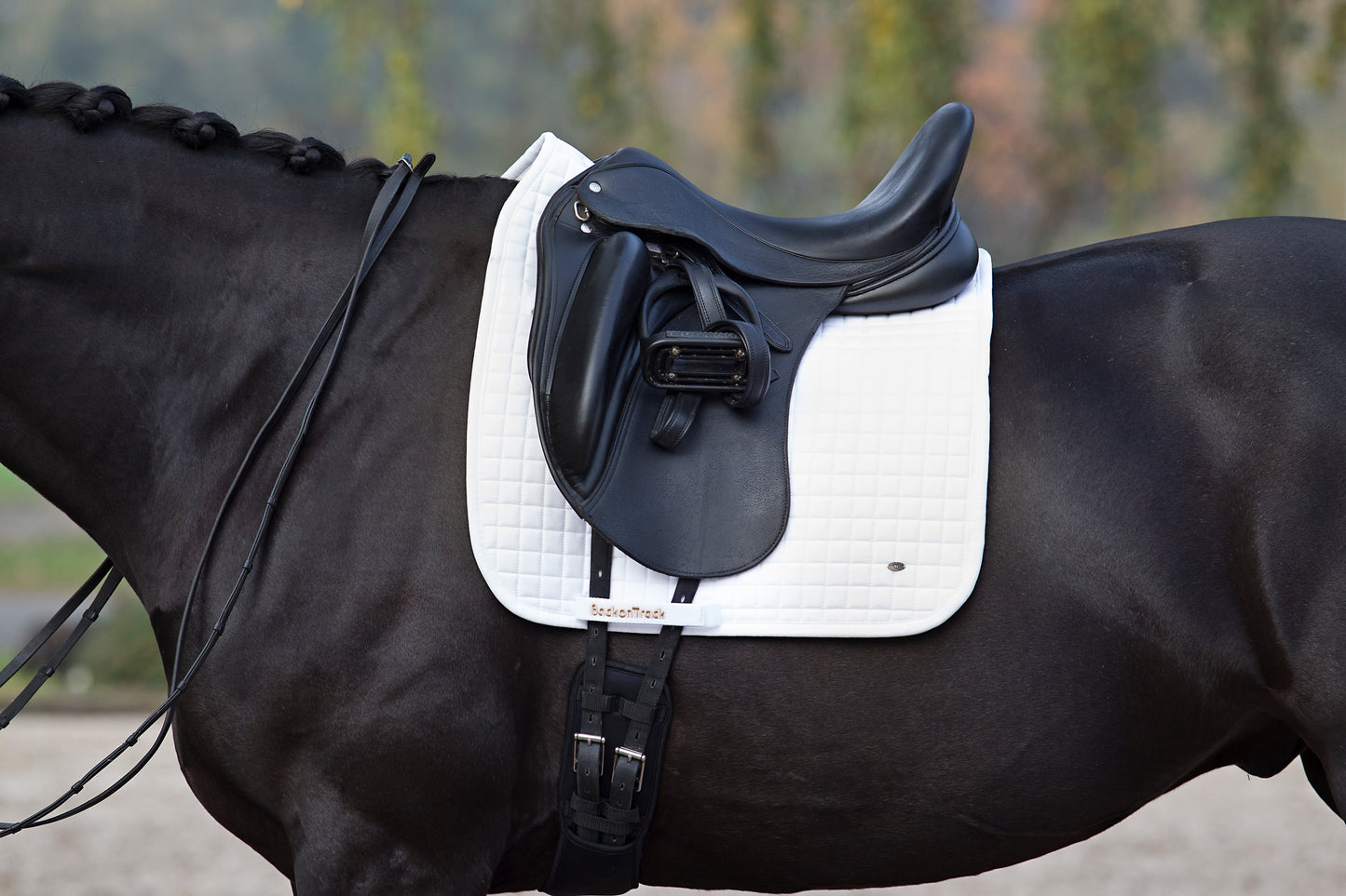Sweatshirt No II dressage Back on Track