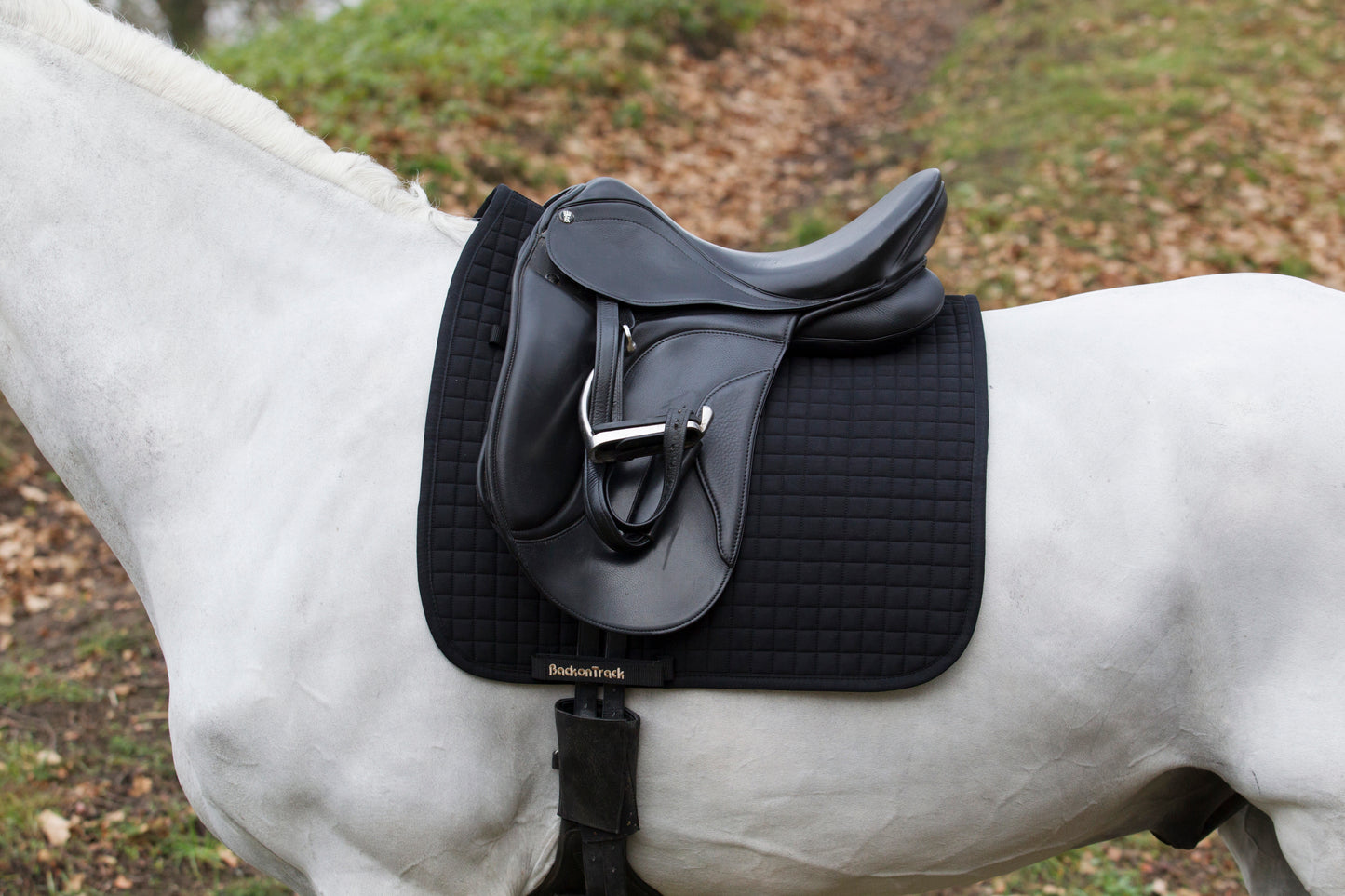 Sweatshirt No II dressage Back on Track