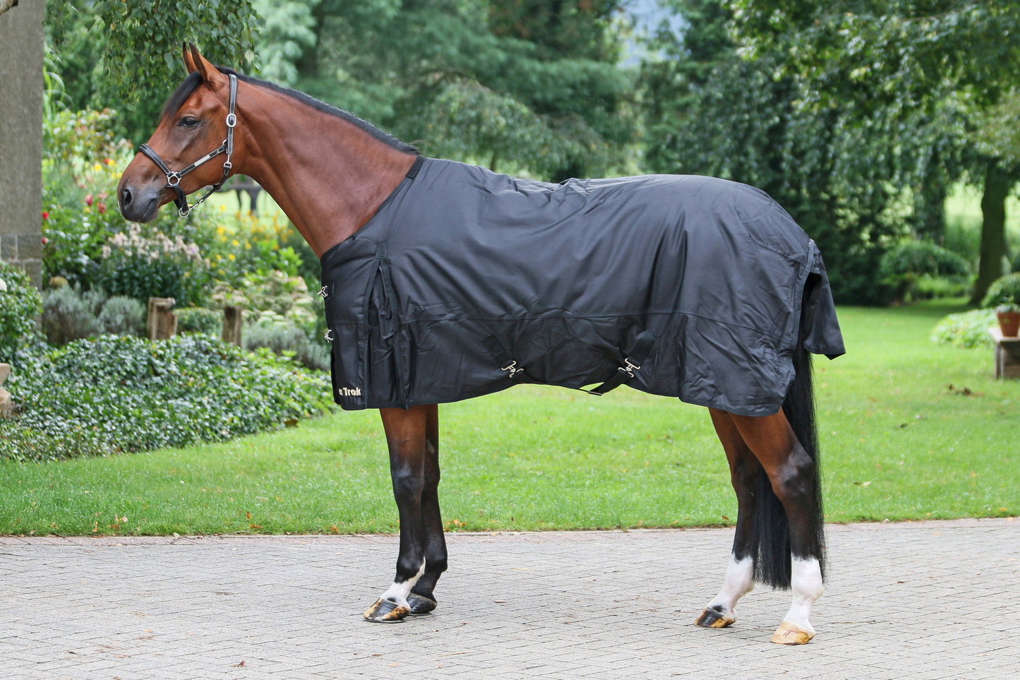Frost outdoor blanket 330gr Back on Track®
