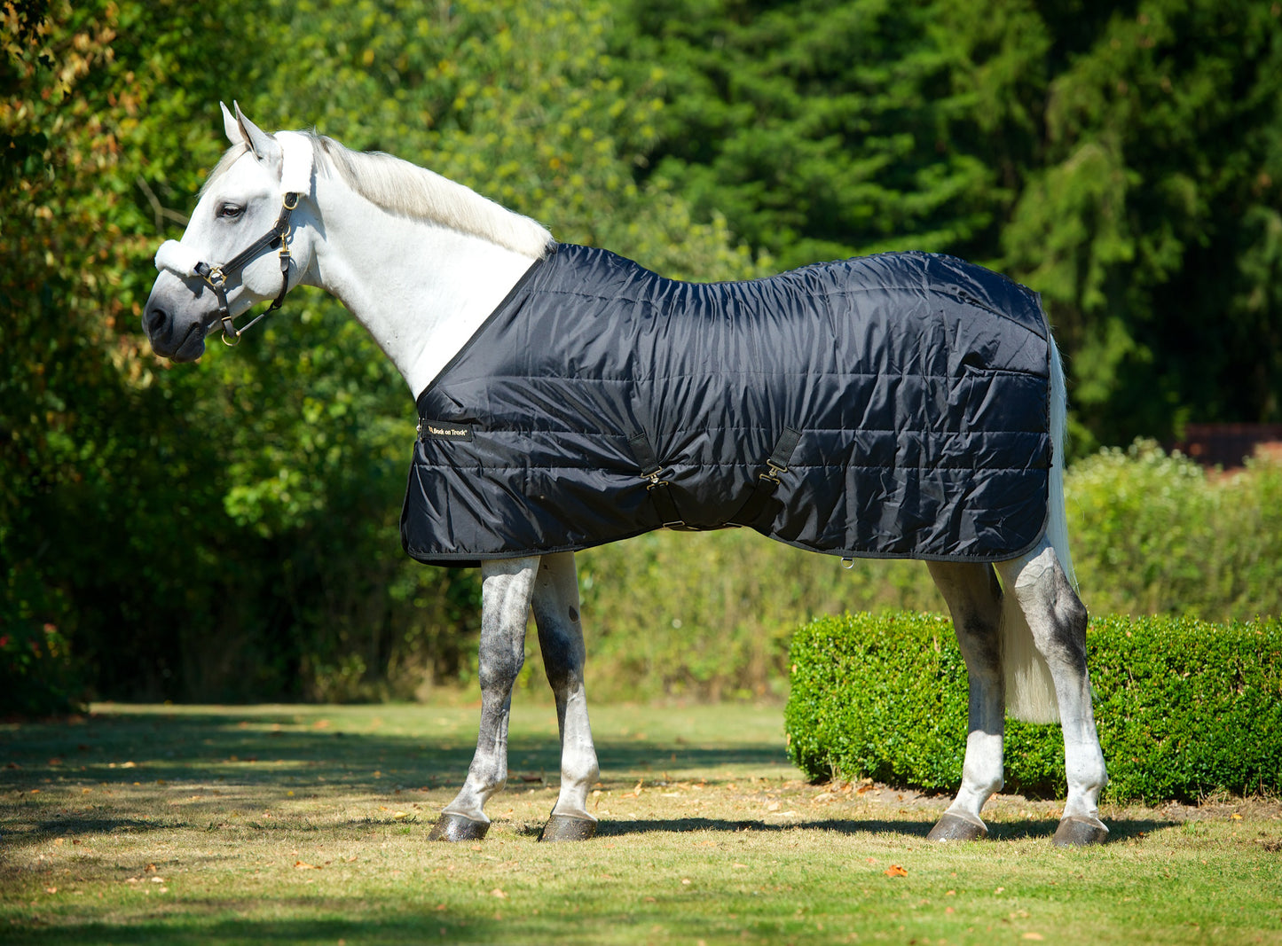 Mia Rime stable blanket 160gr Back on Track®