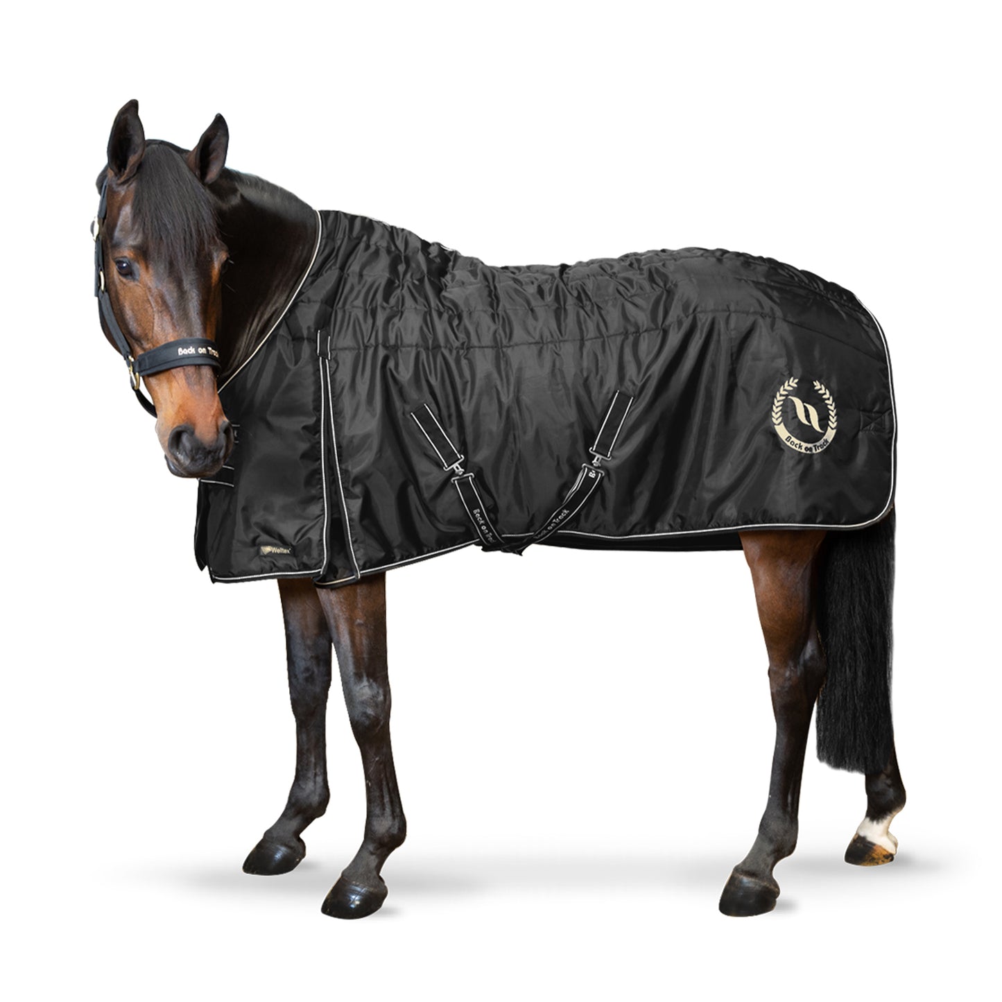 Millie 200g Back on Track® Stable Blanket