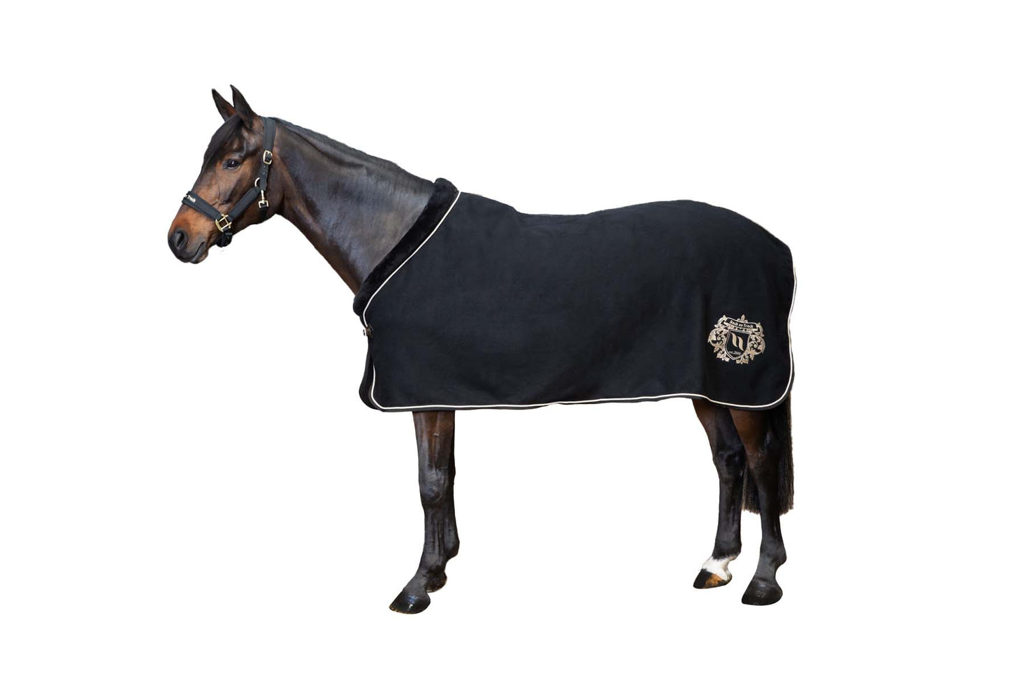 Edward Back on Track® wool blanket