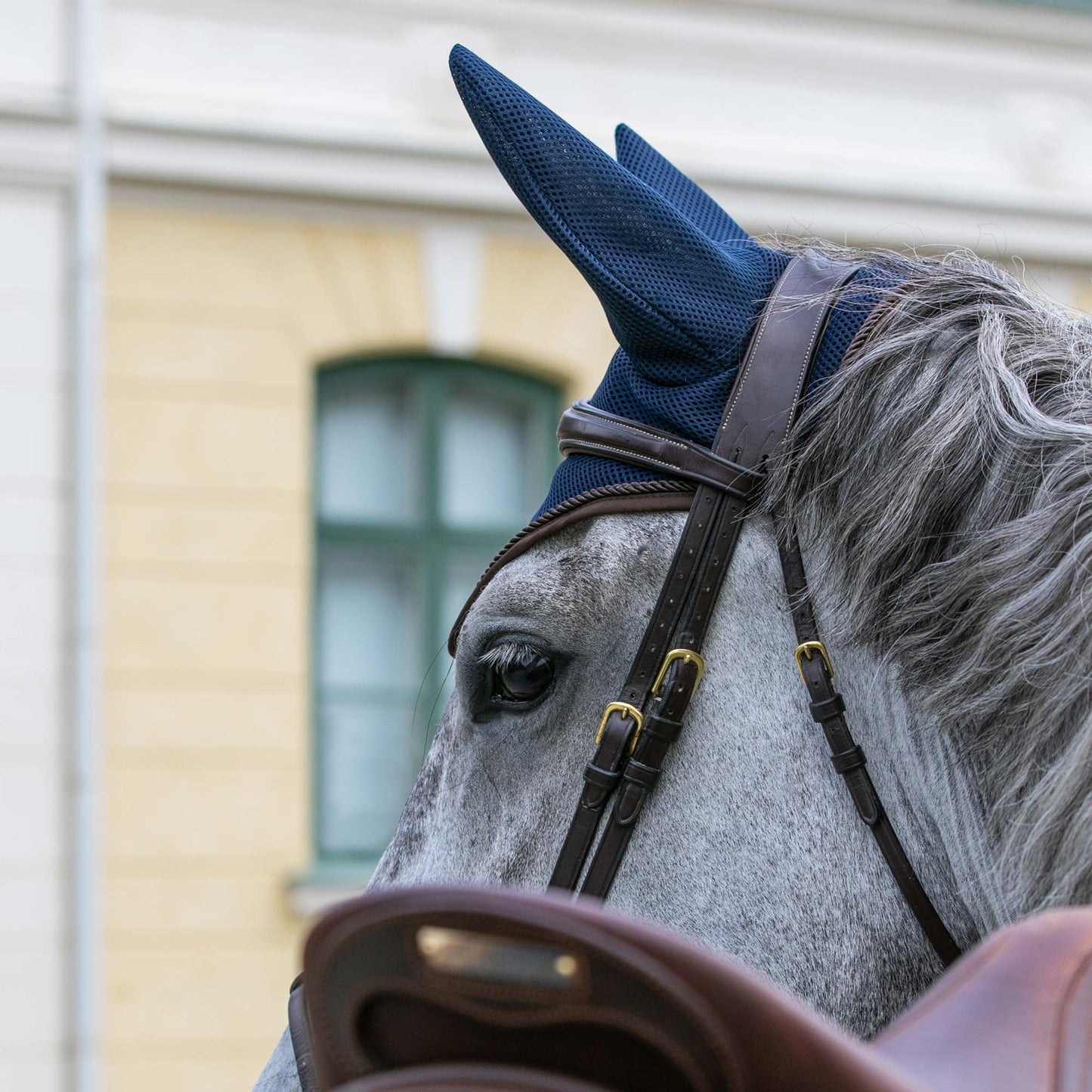Airflow earmuffs Back on Track