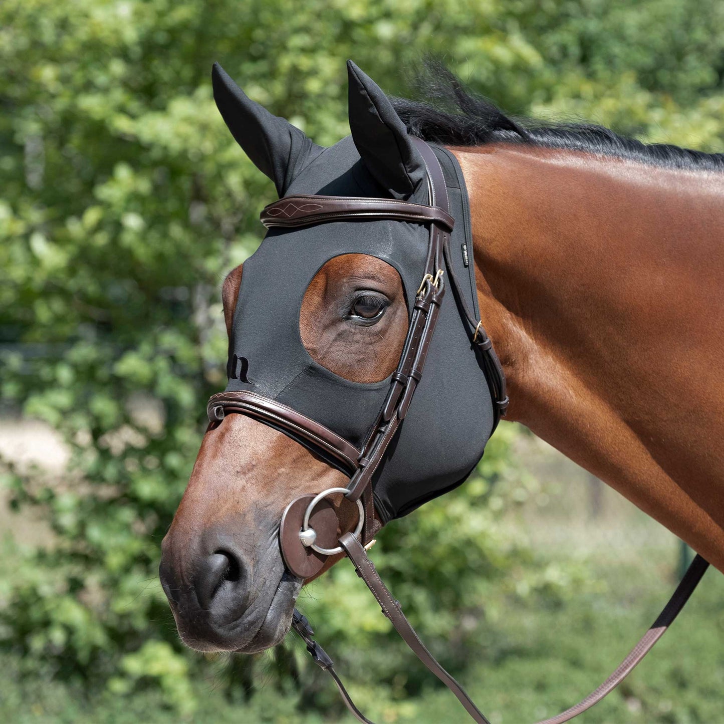 Spirit Back on Track®️ Mask