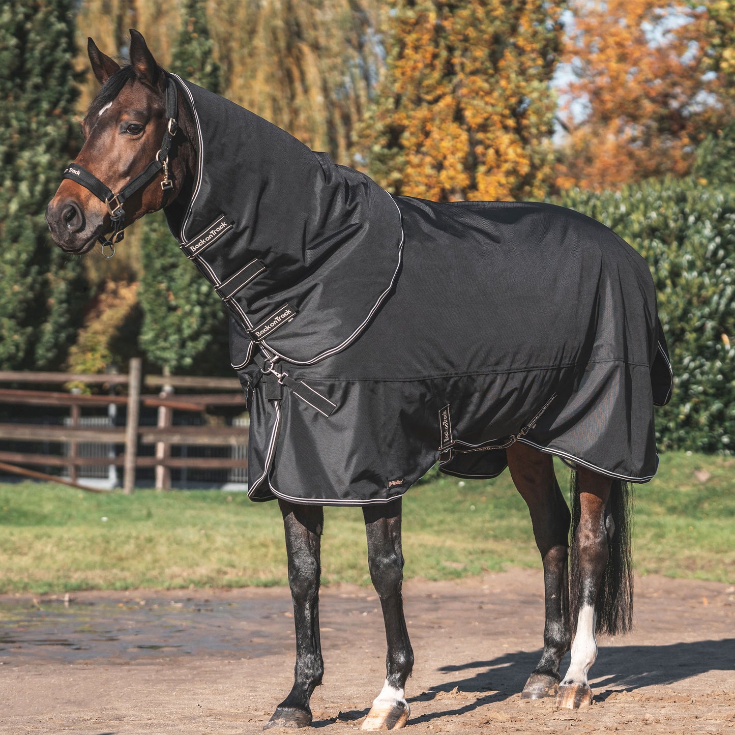 Obsidian outdoor blanket 300gr Back on Track®