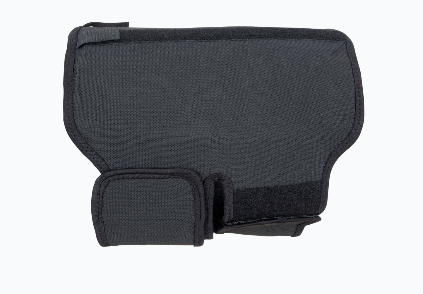 Dog back support