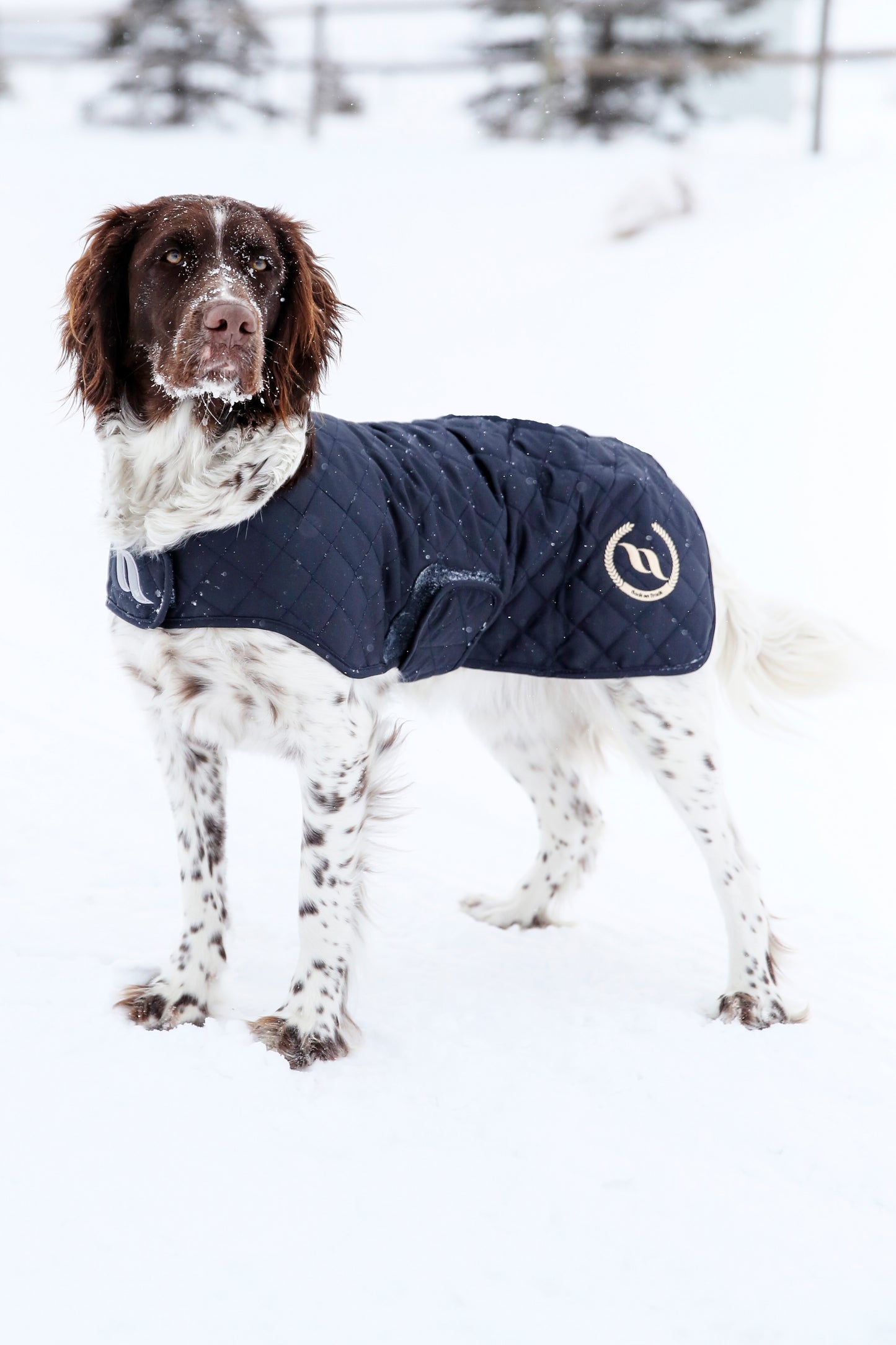 Dog coat "Nights Collection" Back on Track