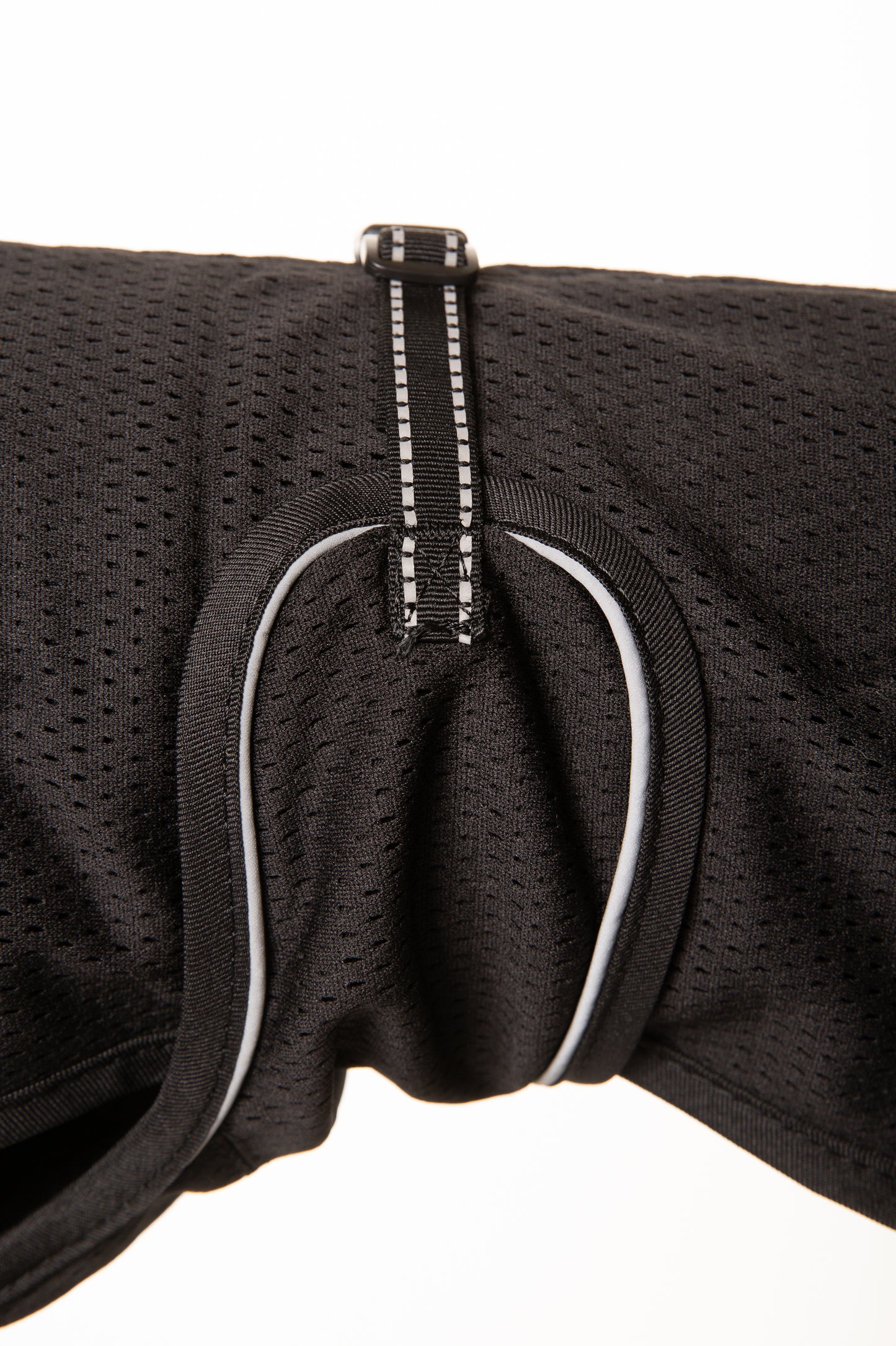 Buddy MESH Dachshund Back on Track Coat