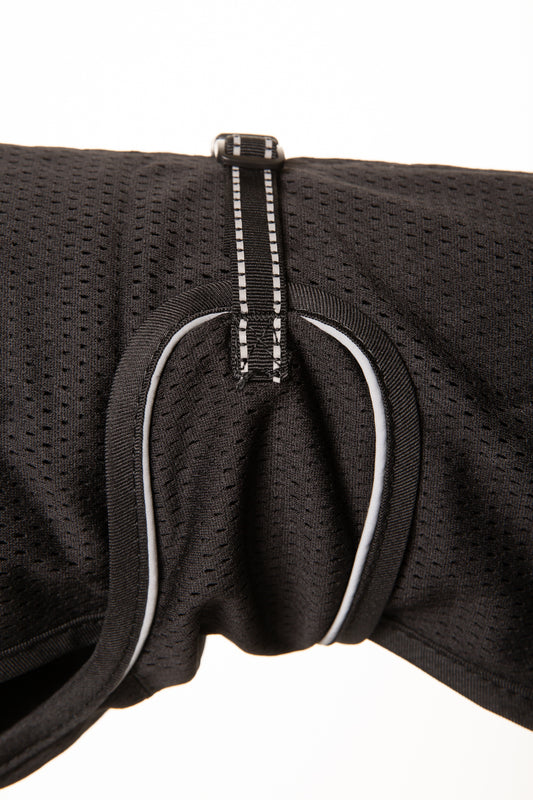 Abrigo Buddy MESH Teckel Back on Track