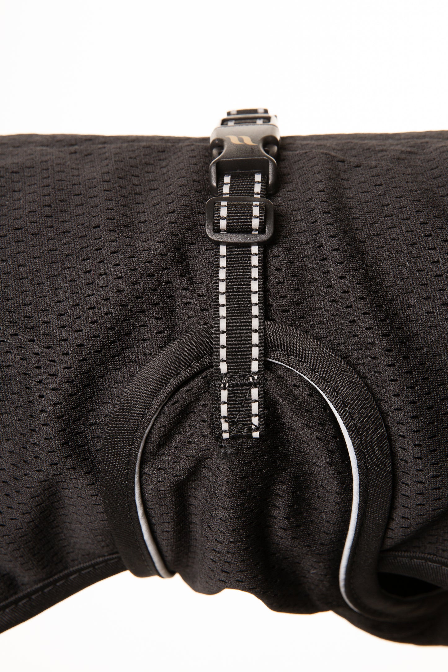 Buddy MESH Dachshund Back on Track Coat