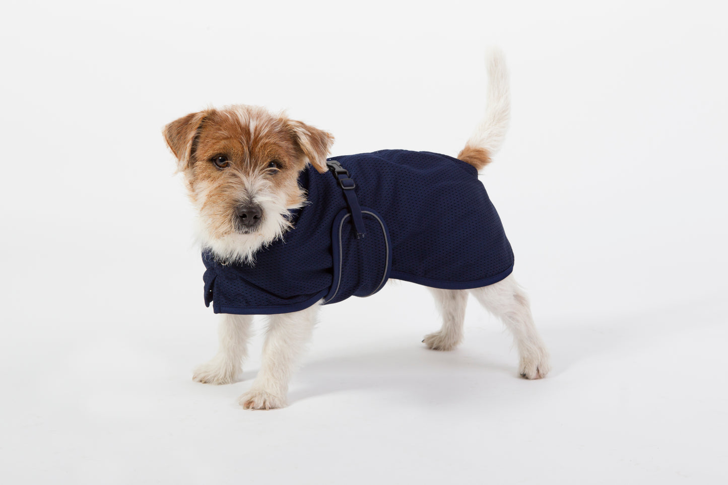 Back on Track Dog Mesh Blanket