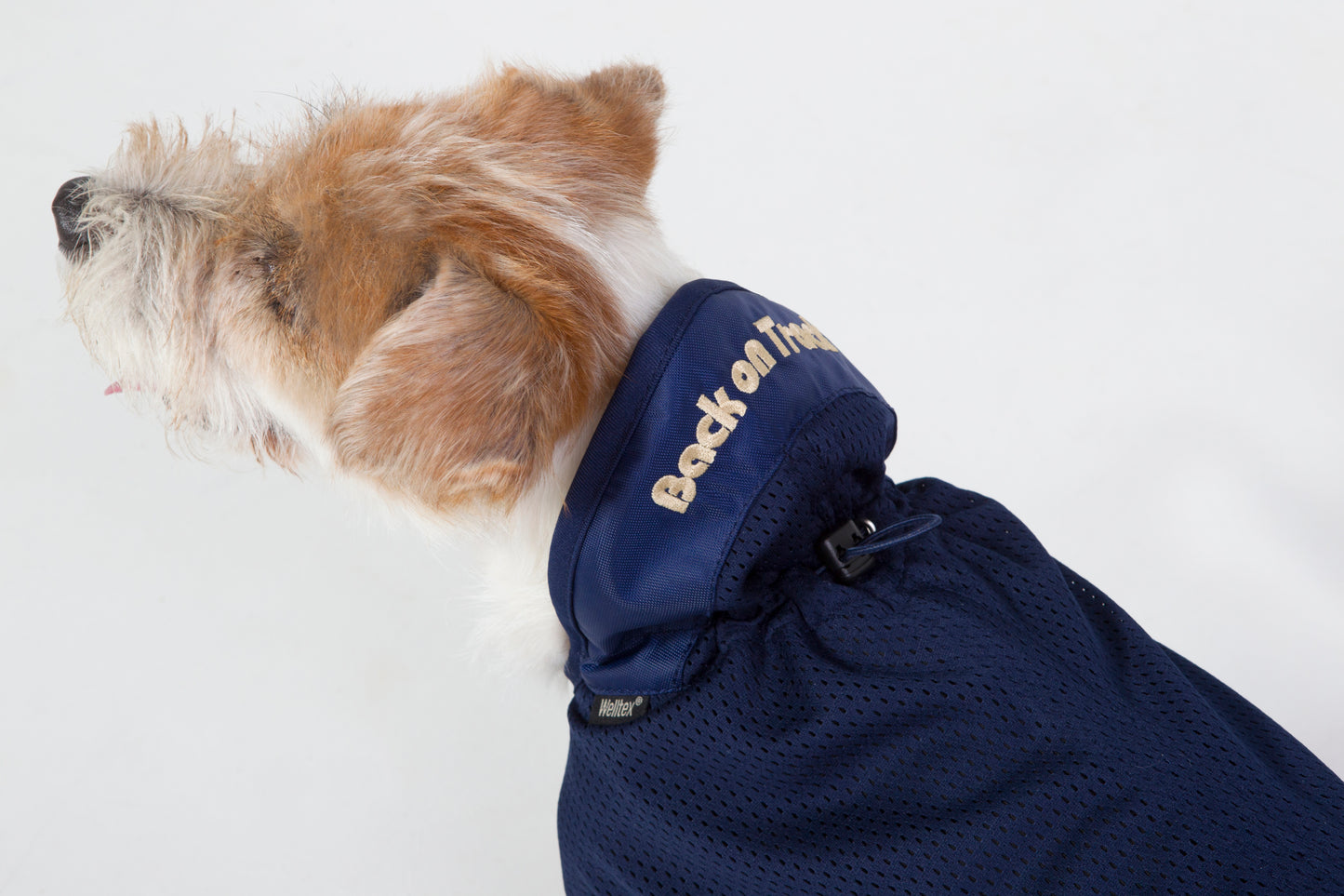Back on Track Dog Mesh Blanket