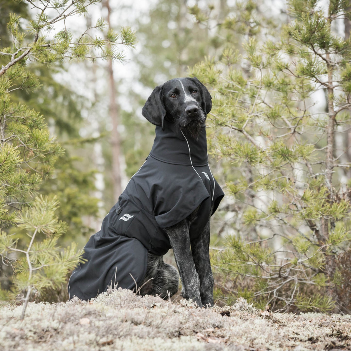 In the Back on Track all-round dog coat
