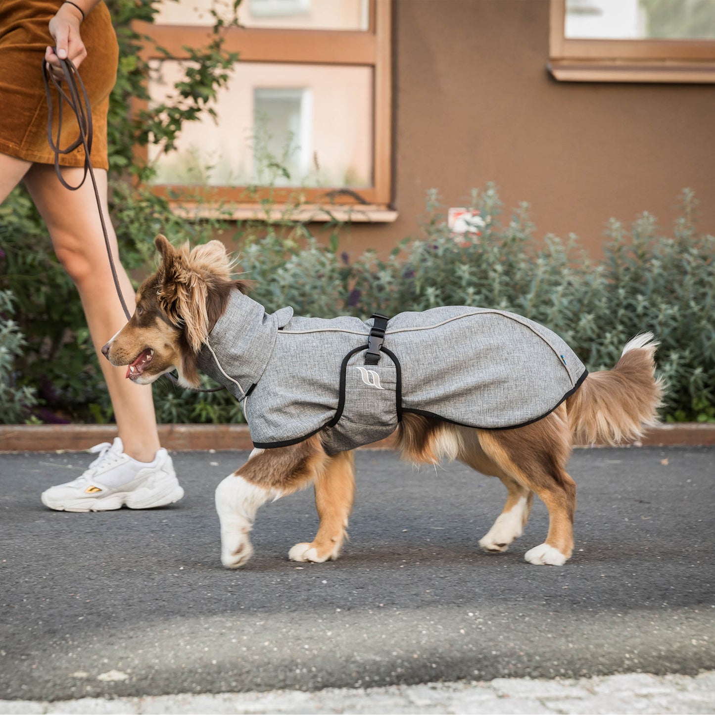 In the Back on Track all-round dog coat