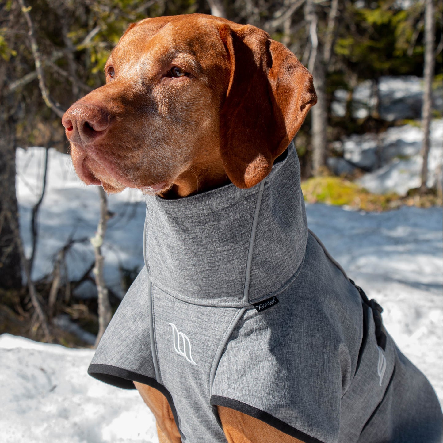 In the Back on Track all-round dog coat