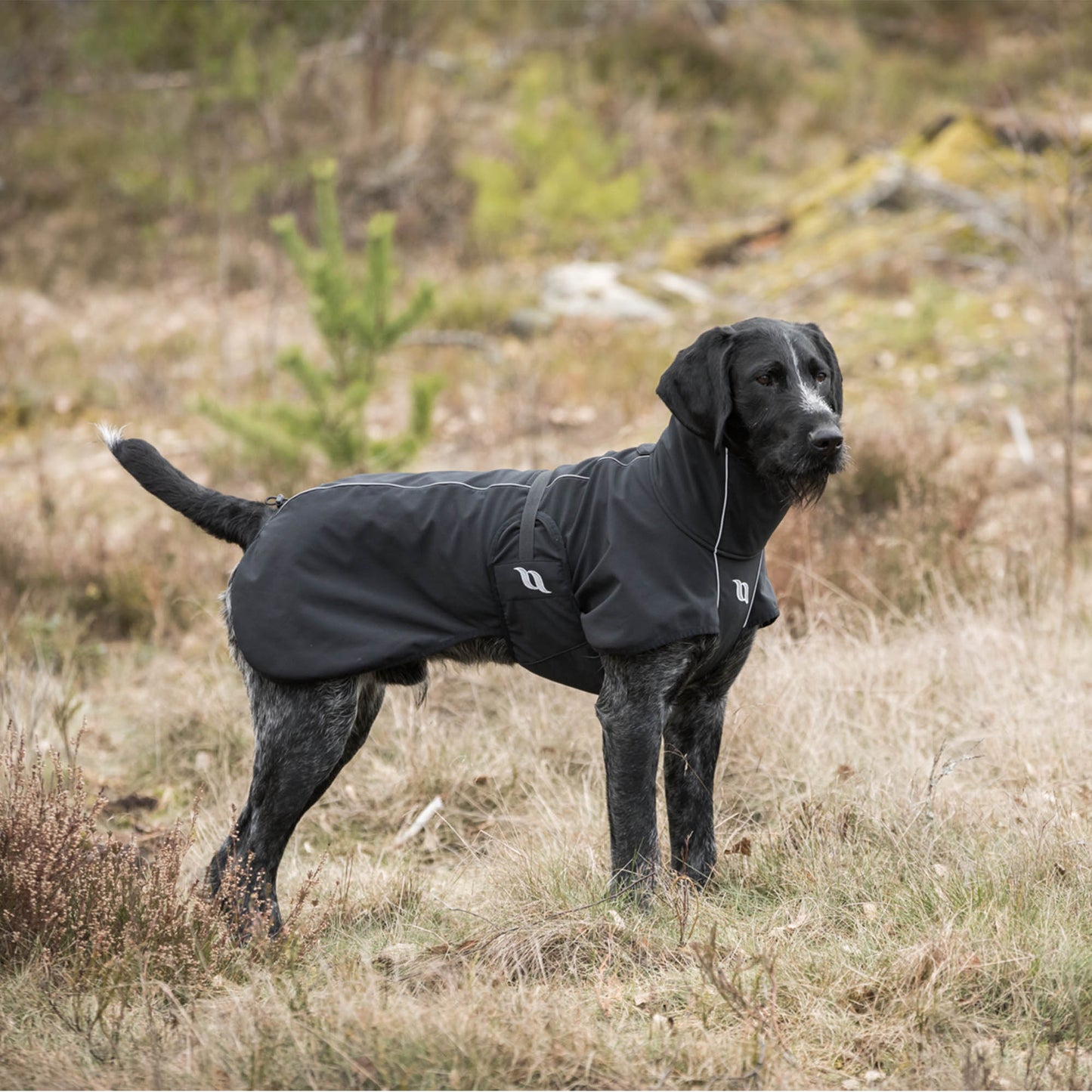 Bark coat "allround" dog Back on Track