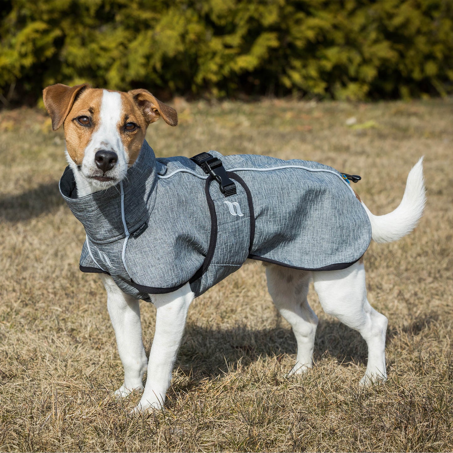 Bark coat "allround" dog Back on Track