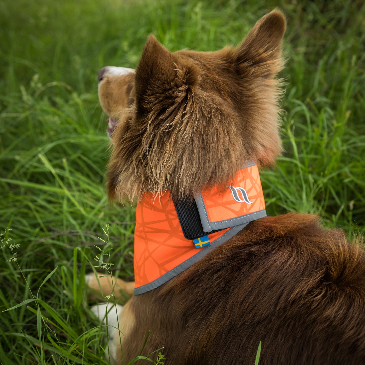 Draco high-visibility bandana Back on Track