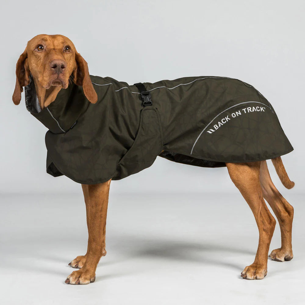 Impermeable para perro Bay Cola baja Back on Track