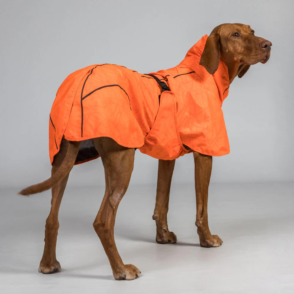 Impermeable para perro Bay Cola baja Back on Track