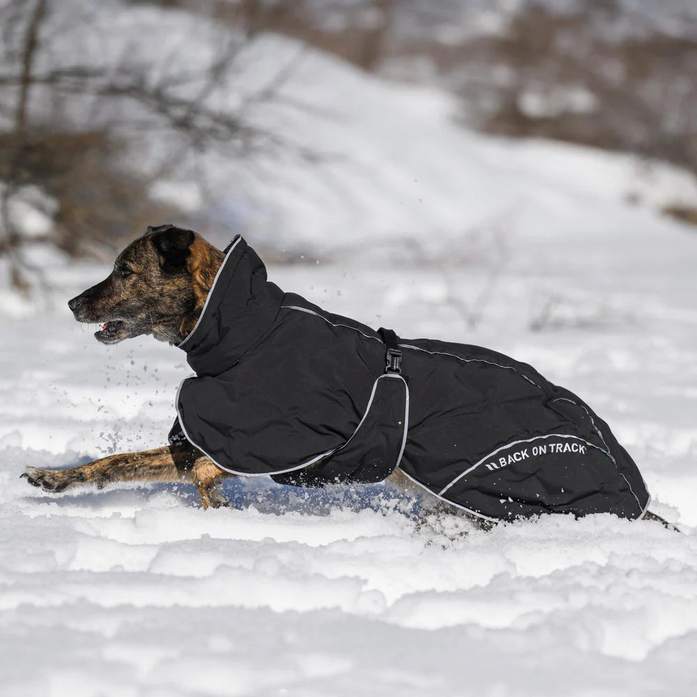 Abrigo perro Bay Back on Track