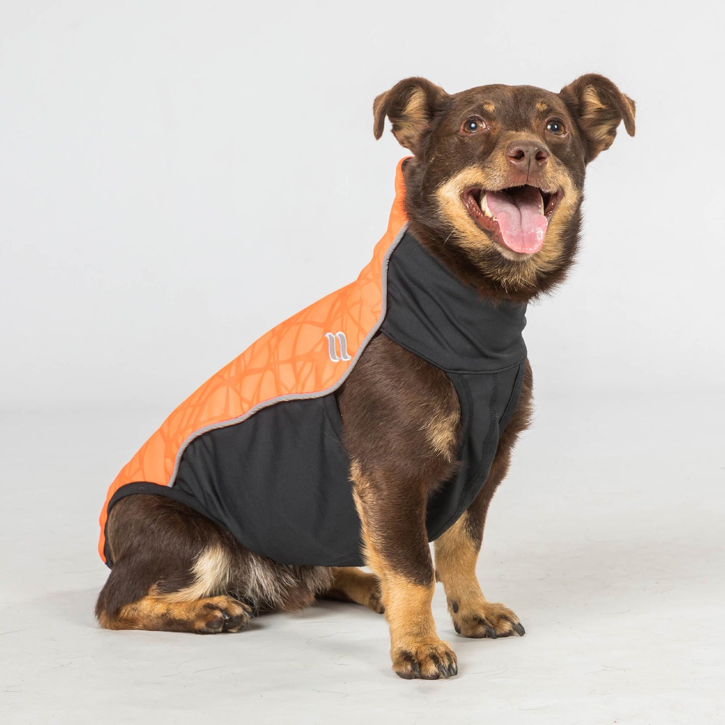 Eddie Small Back on Track Dog Sweater