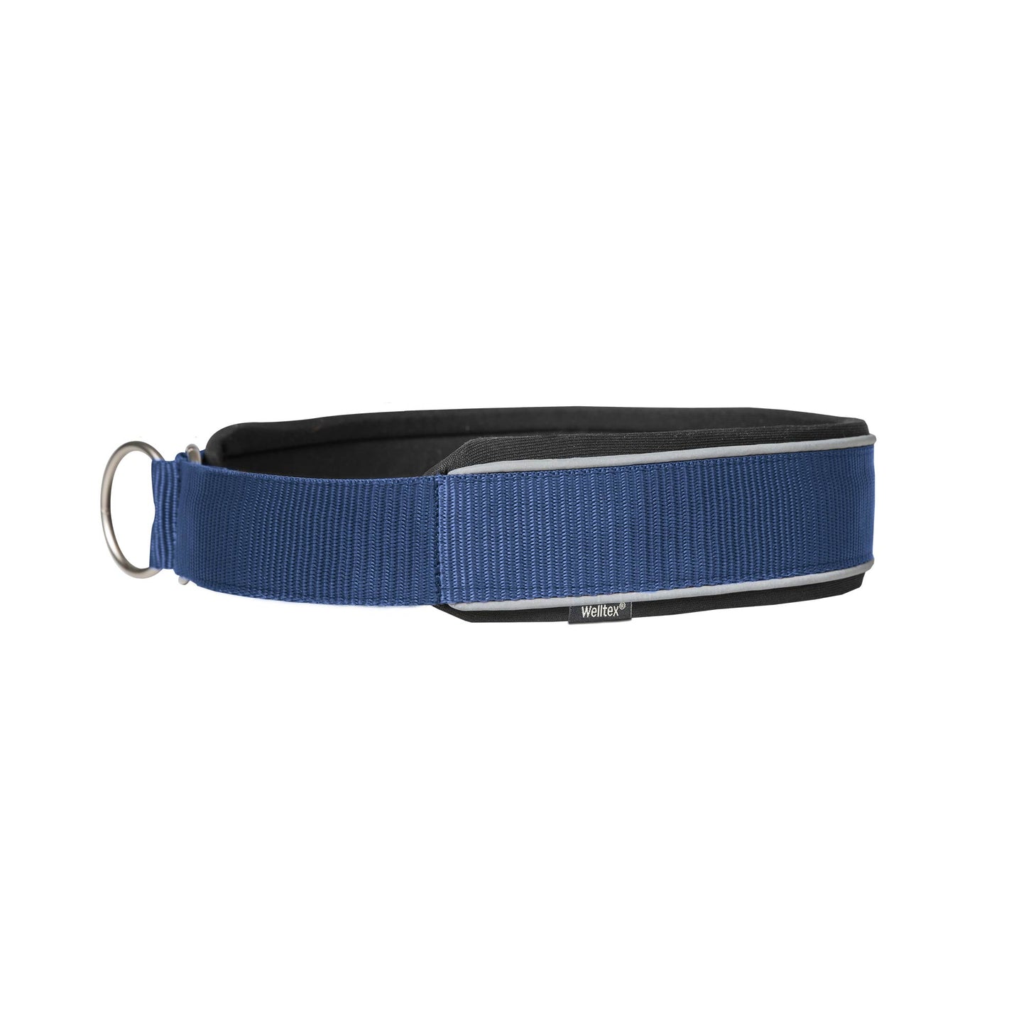 Charlie collar dog Back on Track