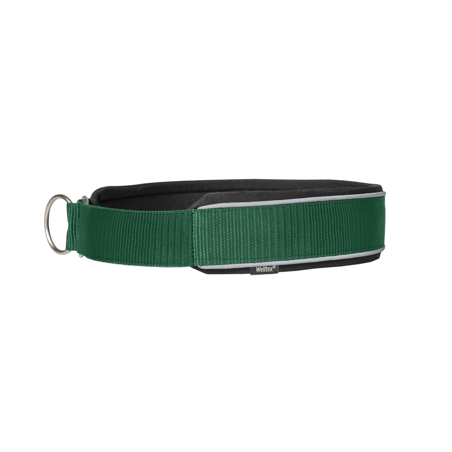 Charlie collar dog Back on Track