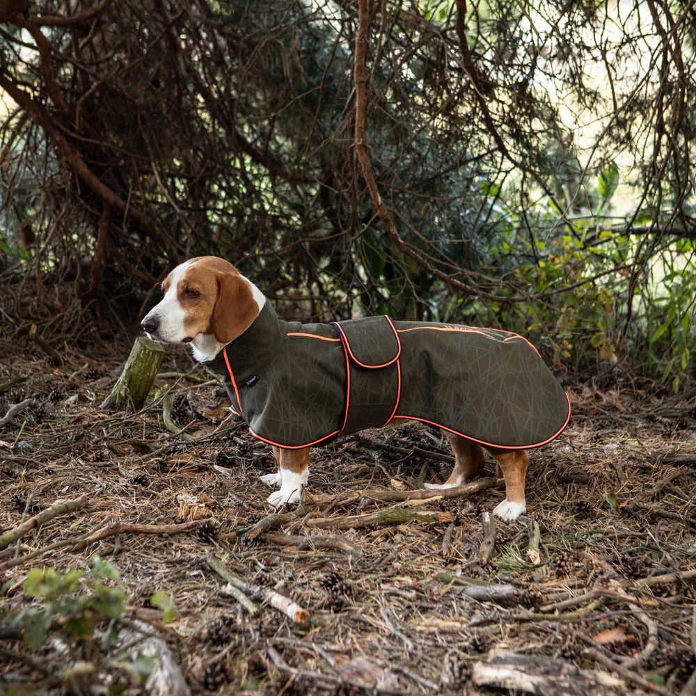 Abrigo Buddy Softshell para razas alargadas