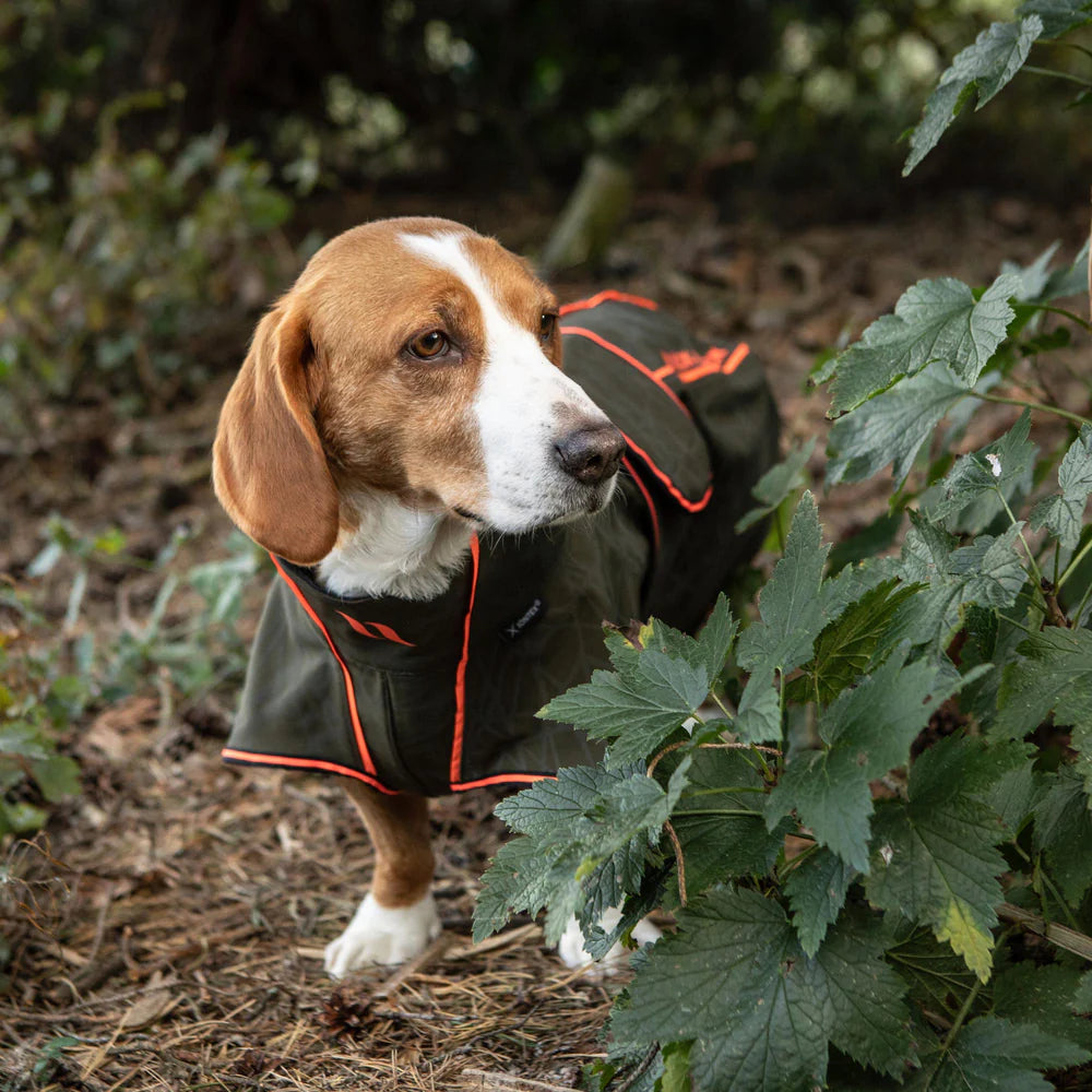 Abrigo Buddy Softshell para razas alargadas