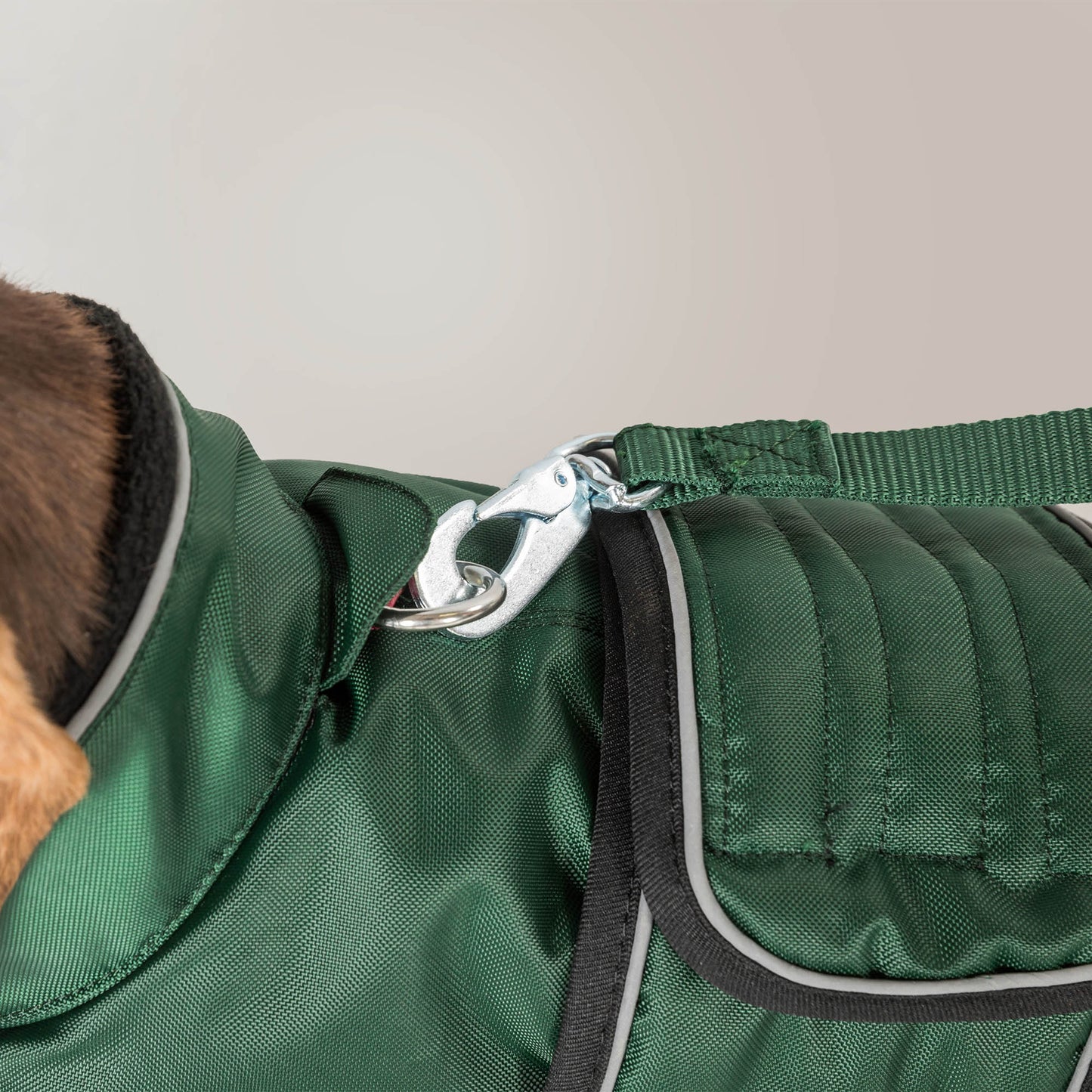 Buddy long dog coat Back on Track