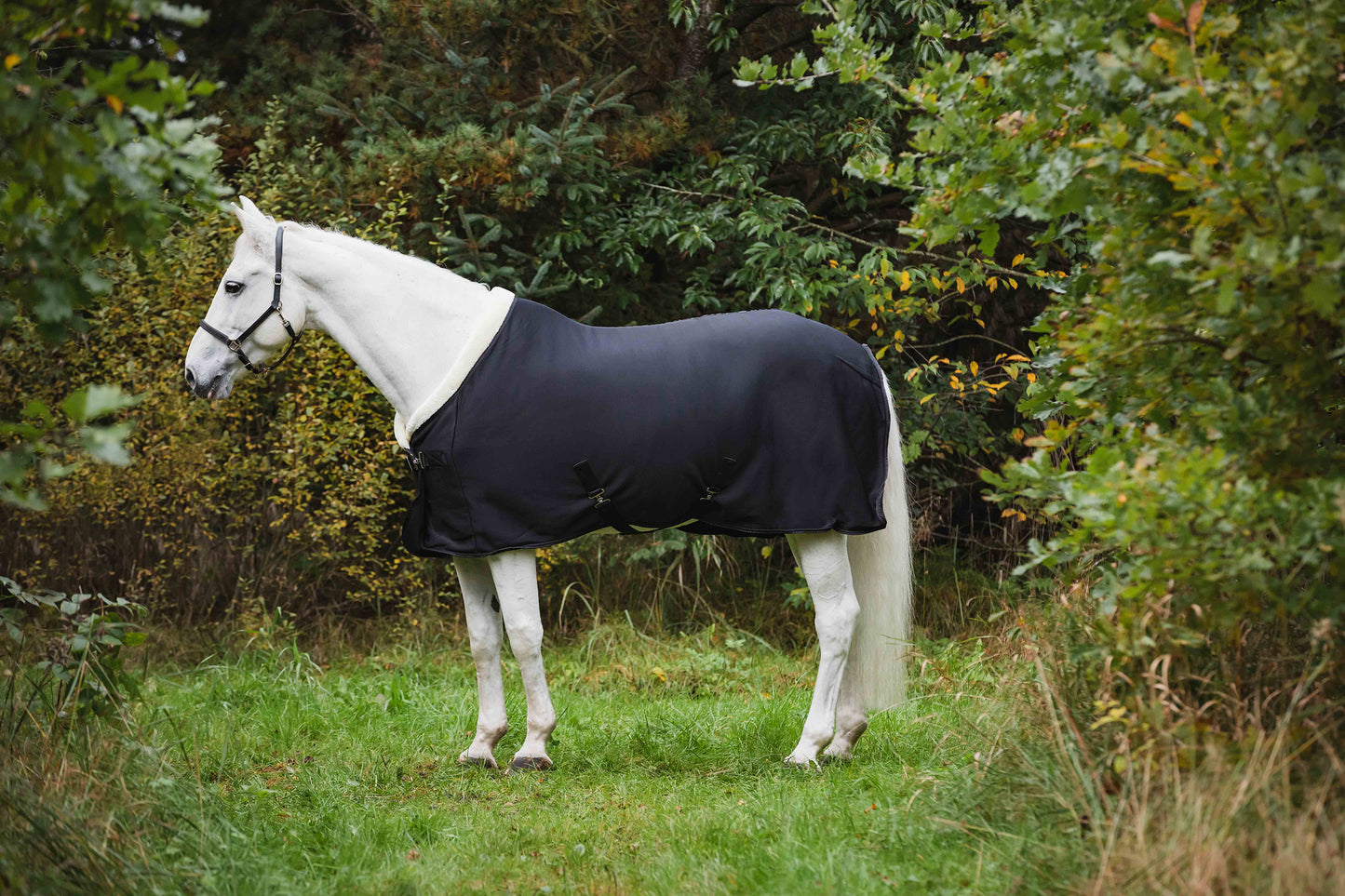 Fleece/Softshell Riding Blanket - Black