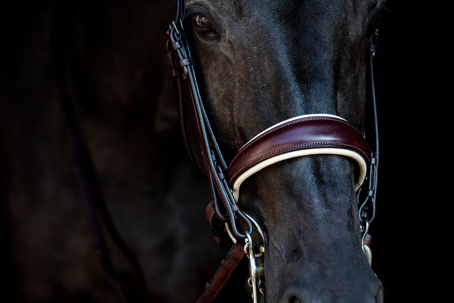 Bridle2Fit Noseband S1 Snaffle & Bit FLAT
