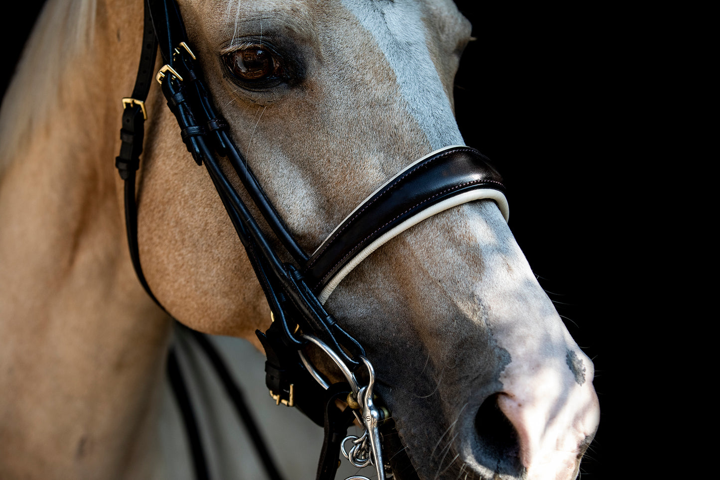 Bridle2Fit Noseband S1 Snaffle & Bit FLAT
