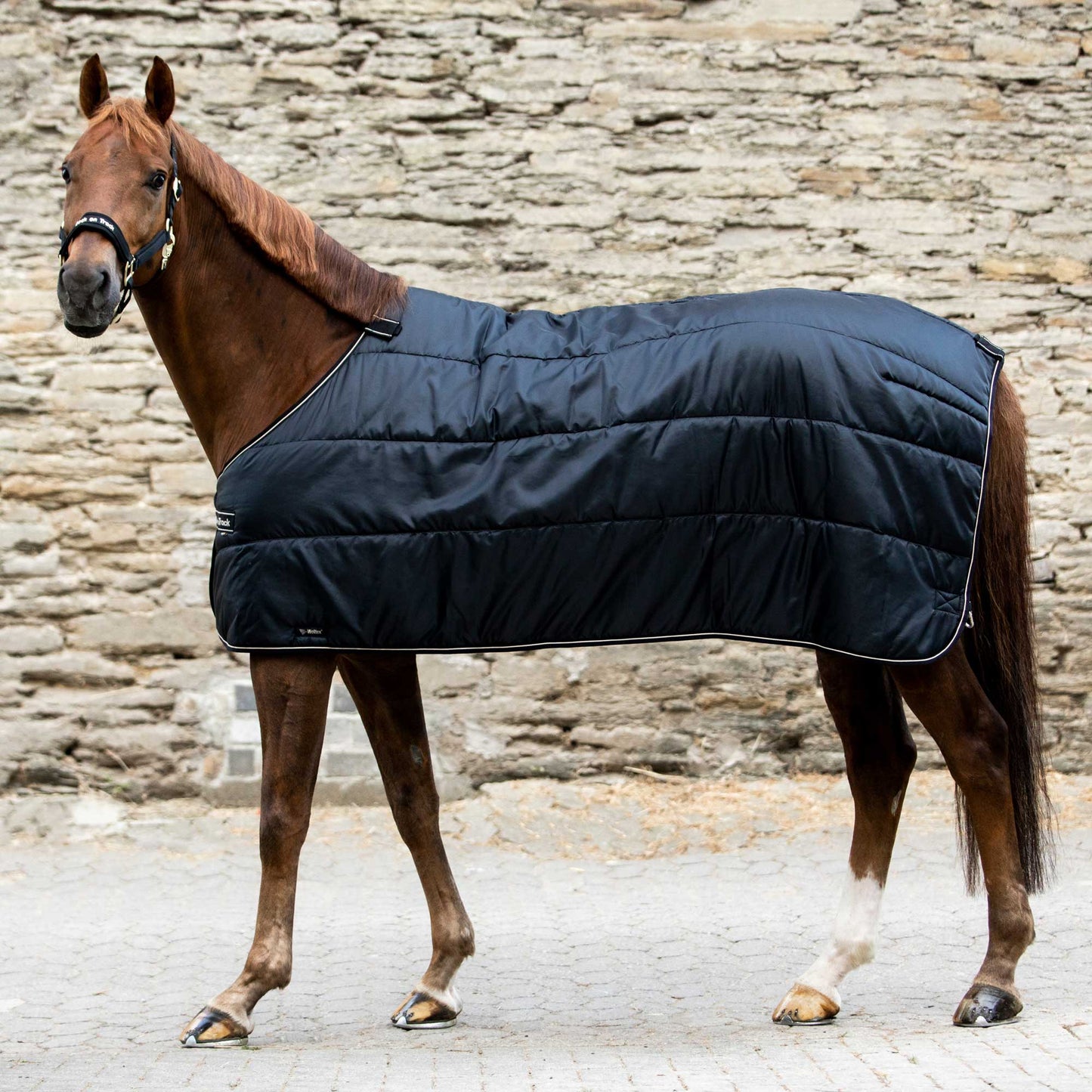 Rhyolite underblanket "liner" 200gr Back on Track®