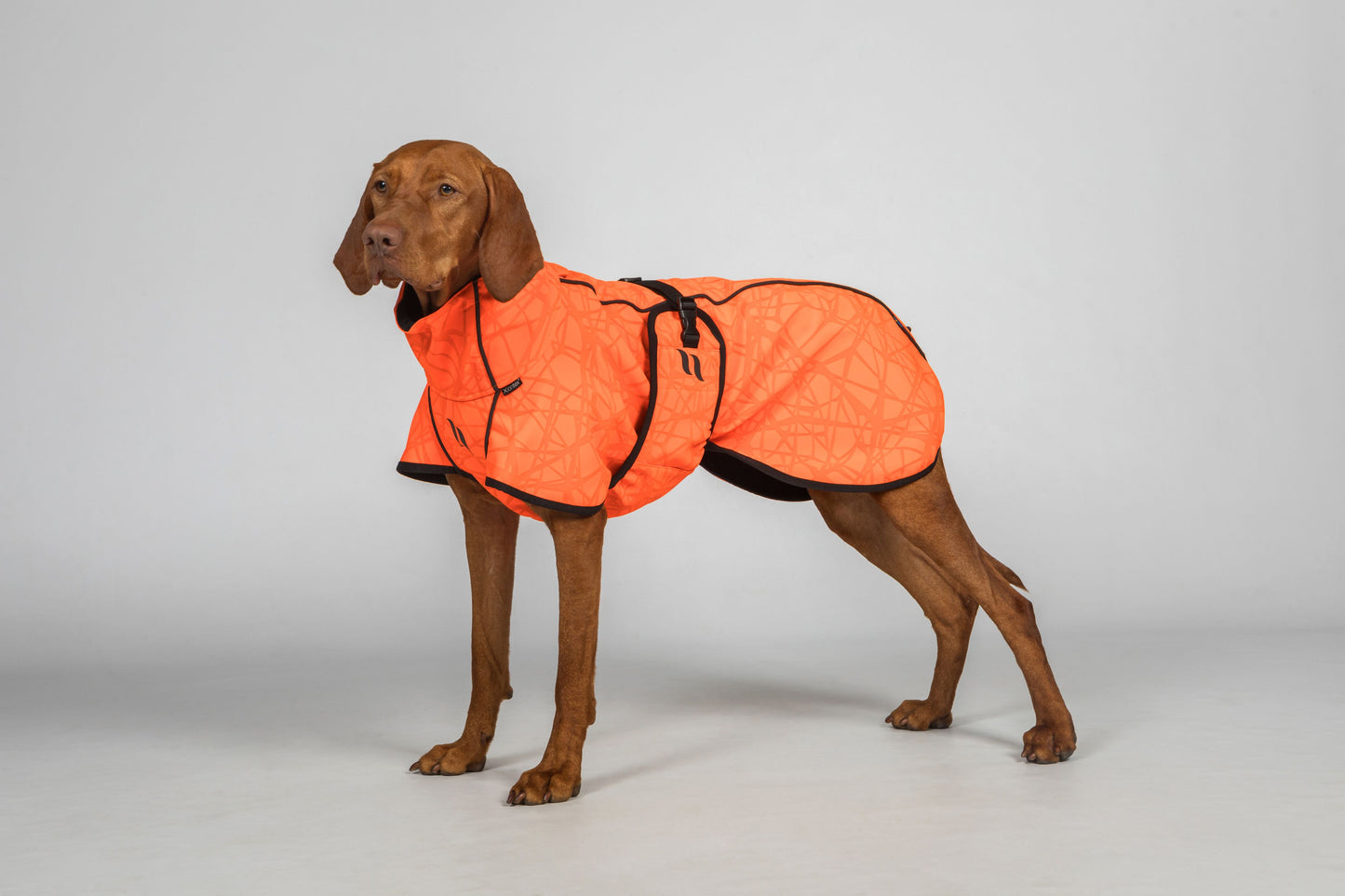 Bark Coat "All-Round" Dog Back on Track - Orange