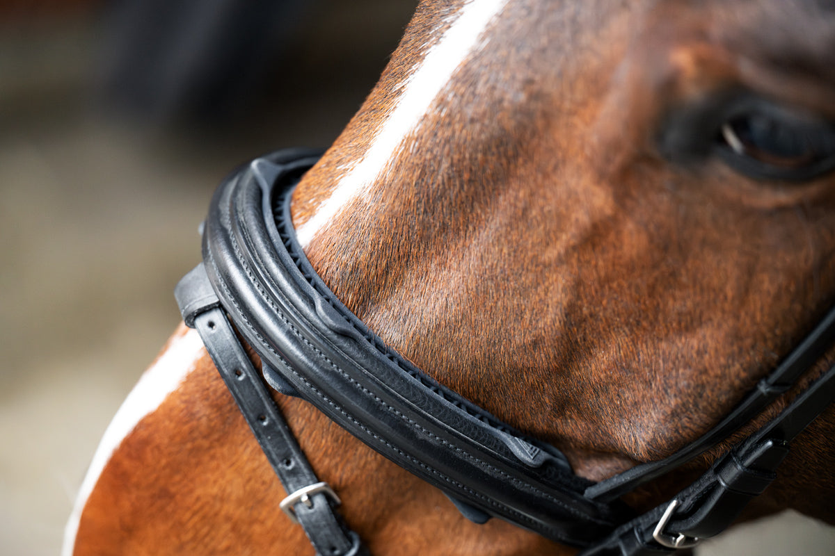 R3vobanD front noseband protector