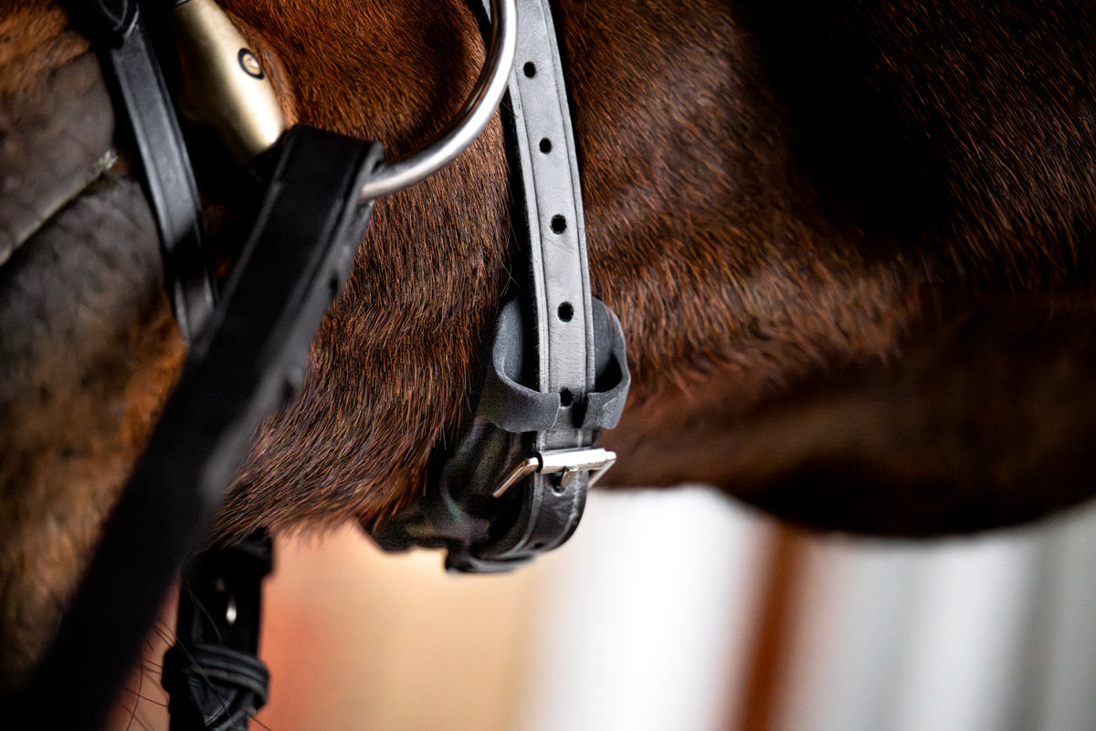 R3vobanD rear noseband protector