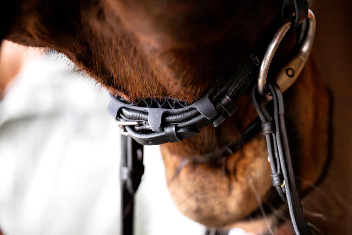 R3vobanD rear noseband protector